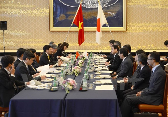 Vietnam est un des partenaires importants du Japon en Asie du Sud-Est ảnh 2 Vietnam est un des partenaires importants du Japon en Asie du Sud-Est ảnh 2