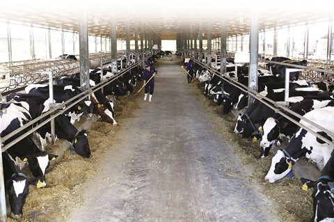 Le Vietnam cherche à stimuler les investissements dans l’agriculture ảnh 1 Le Vietnam cherche à stimuler les investissements dans l’agriculture ảnh 1