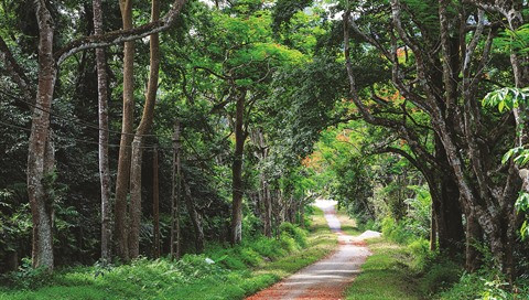 La capitale Hanoi a un plan pour la biodiversité ảnh 1