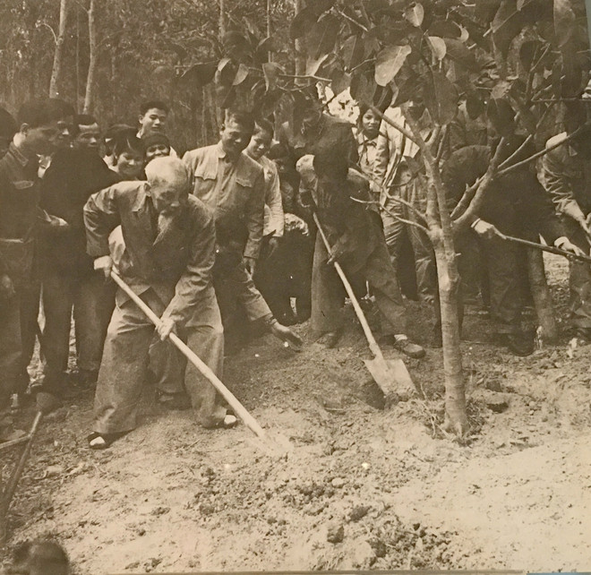 Le Musée Hô Chi Minh - lieu de conservation des souvenirs éternels du grand dirigeant vietnamien ảnh 2 Le Musée Hô Chi Minh - lieu de conservation des souvenirs éternels du grand dirigeant vietnamien ảnh 2