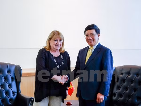 La valse des entretiens du vice-PM Pham Binh Minh à New York ảnh 1