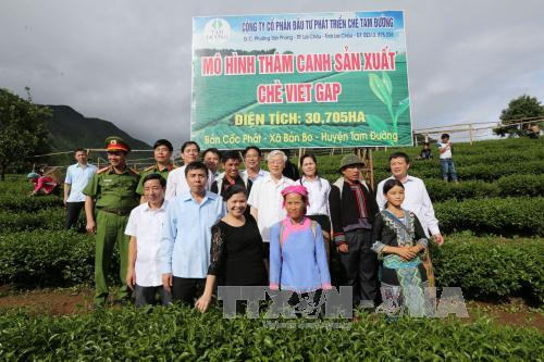 Le leader du PCV recommande à Lai Chau de moderniser son agriculture ảnh 1 Le leader du PCV recommande à Lai Chau de moderniser son agriculture ảnh 1