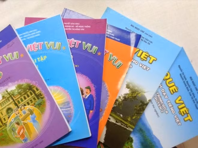 Intensification de l’enseignement de langue vietnamienne aux Viêt kiêu ảnh 1