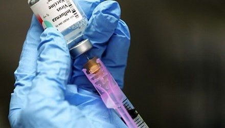 Un vaccin vietnamien contre la maladie de l’oreille bleue ảnh 1 Un vaccin vietnamien contre la maladie de l’oreille bleue ảnh 1