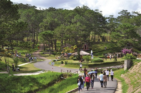 Sur les Hauts Plateaux du Centre, le tourisme fleurit à Lâm Dông ảnh 1 Sur les Hauts Plateaux du Centre, le tourisme fleurit à Lâm Dông ảnh 1