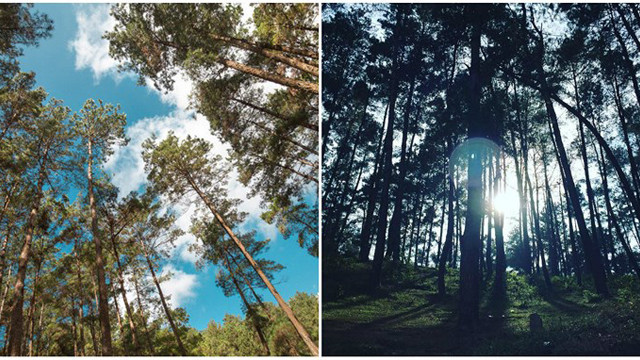 Trek d’exception à Hà Giang ảnh 2 Trek d’exception à Hà Giang ảnh 2