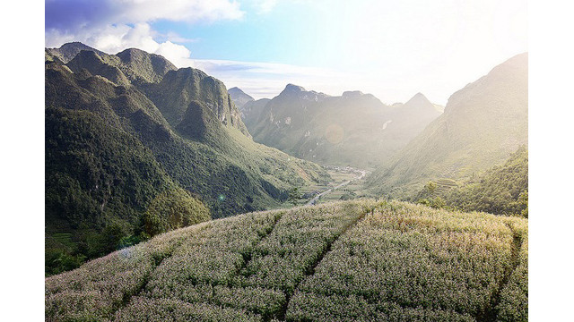 Trek d’exception à Hà Giang ảnh 7 Trek d’exception à Hà Giang ảnh 7