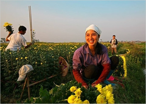 Les femmes au travail: les couleurs de la vie en grand format ảnh 2 Les femmes au travail: les couleurs de la vie en grand format ảnh 2