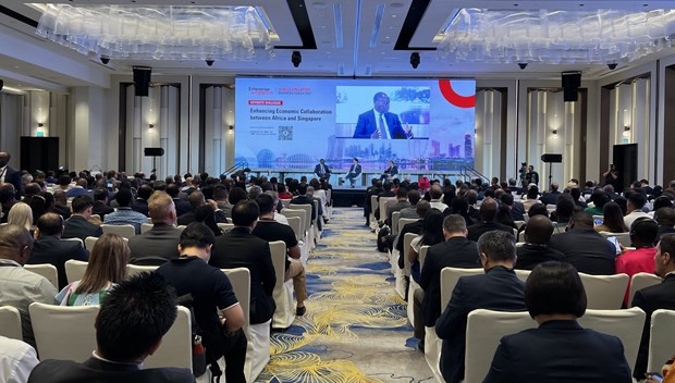 Singapour cherche à renforcer ses liens commerciaux avec l’Afrique ảnh 1 Singapour cherche à renforcer ses liens commerciaux avec l’Afrique ảnh 1