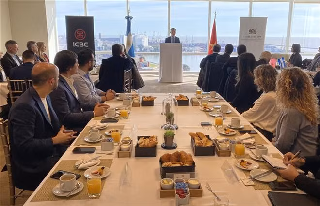 Renforcement de la coopération économique Vietnam-Argentine ảnh 1