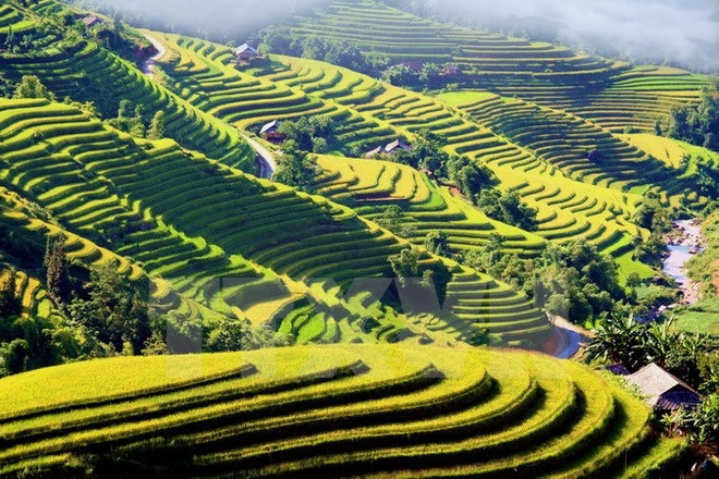 Semaine culturelle et touristique des rizières en terrasse de Hoàng Su Phi ảnh 1 Semaine culturelle et touristique des rizières en terrasse de Hoàng Su Phi ảnh 1