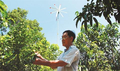 L’éolienne faite maison du paysan Lê Huu Bá ảnh 2