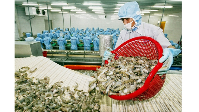 L’UE devient le premier importateur de crevettes vietnamiennes ảnh 1 L’UE devient le premier importateur de crevettes vietnamiennes ảnh 1