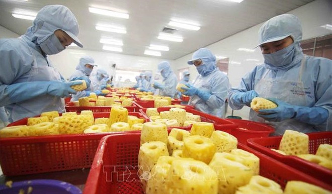Agriculture : le Vietnam a exporté pour plus de 53 milliards de dollars en 2022 ảnh 1 Agriculture : le Vietnam a exporté pour plus de 53 milliards de dollars en 2022 ảnh 1