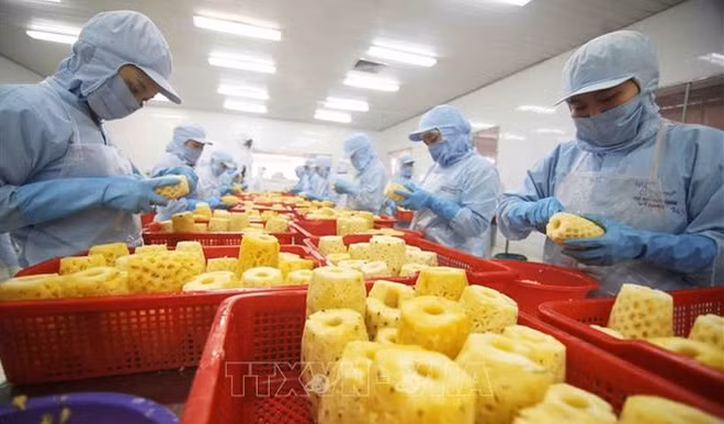 Agriculture&nbsp;: le Vietnam a exporté pour plus de 53 milliards de dollars en 2022 ảnh 1