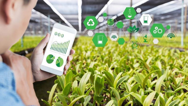 La digitalisation contribue à promouvoir le développement durable de l’agriculture ảnh 1
