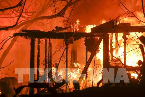 Il n'y a aucune information sur les victimes vietnamiennes de l’incendie de forêt en Californie ảnh 1 Il n'y a aucune information sur les victimes vietnamiennes de l’incendie de forêt en Californie ảnh 1