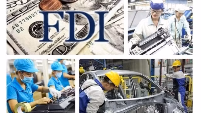 Une nouvelle vague d’IDE au Vietnam ảnh 1