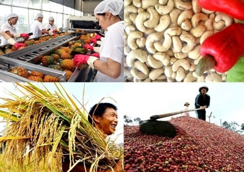 Le secteur agricole enregistre une exportation excédentaire de 7,45 milliards de dollars ảnh 1 Le secteur agricole enregistre une exportation excédentaire de 7,45 milliards de dollars ảnh 1
