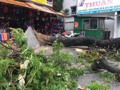 Passage du typhon USAGI: des rues de Hô Chi Minh-Ville inondées ảnh 1 Passage du typhon USAGI: des rues de Hô Chi Minh-Ville inondées ảnh 1