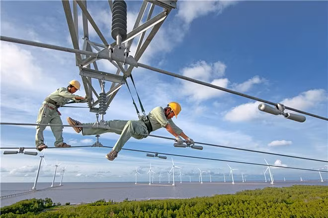 Beaux-arts et photographie: les dix évènements les plus marquants de 2016 ảnh 7