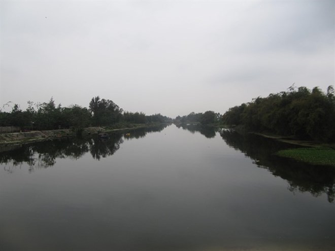 Quang Nam lance un projet de conservation du bambou ảnh 1 Quang Nam lance un projet de conservation du bambou ảnh 1