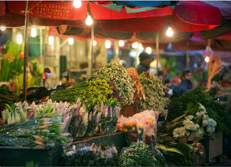 Les marchés aux fleurs de Hanoi ảnh 1 Les marchés aux fleurs de Hanoi ảnh 1