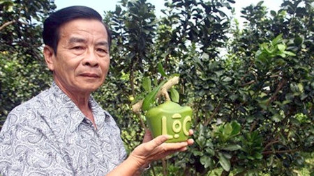 À l’approche du Têt: Des fruits «stylisés» ảnh 1 À l’approche du Têt: Des fruits «stylisés» ảnh 1