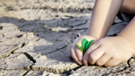 Le gouvernement vietnamien ratifie de nombreux accords internationaux ảnh 1 Le gouvernement vietnamien ratifie de nombreux accords internationaux ảnh 1