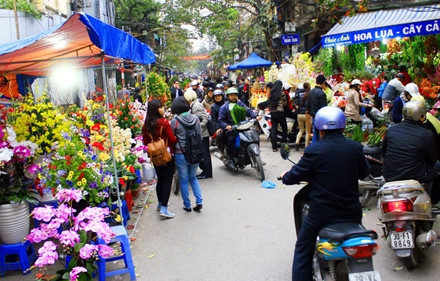 Les marchés aux fleurs de Hanoi ảnh 5 Les marchés aux fleurs de Hanoi ảnh 5
