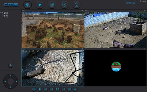 Élever et acheter des sangliers en ligne : une solution pour l’alimentation bio ảnh 2 Élever et acheter des sangliers en ligne : une solution pour l’alimentation bio ảnh 2