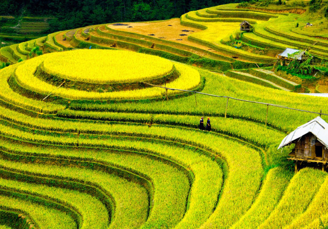 Le Vietnam parmi les dix destinations touristiques à visiter en 2017 ảnh 1 Le Vietnam parmi les dix destinations touristiques à visiter en 2017 ảnh 1