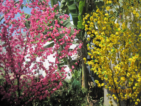 Le Têt Traditionnel et les tabous des Vietnamiens ảnh 2 Le Têt Traditionnel et les tabous des Vietnamiens ảnh 2