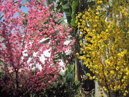 Le Têt Traditionnel et les tabous des Vietnamiens ảnh 2 Le Têt Traditionnel et les tabous des Vietnamiens ảnh 2