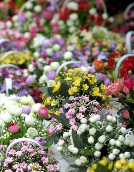 Les marchés aux fleurs de Hanoi ảnh 4 Les marchés aux fleurs de Hanoi ảnh 4