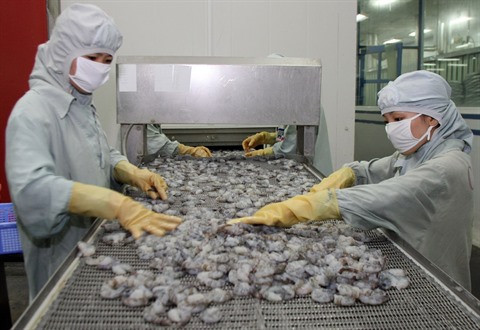 L’exportation de crevettes vietnamiennes en UE enregistre une croissance de 7,5% en 2016 ảnh 1 L’exportation de crevettes vietnamiennes en UE enregistre une croissance de 7,5% en 2016 ảnh 1
