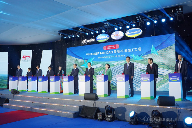 Vietnam-Japon: Mise en chantier d’un complexe d'élevage bovin de transformation de viande de boeuf ảnh 1