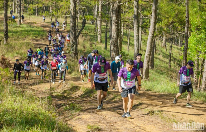 Dalat Ultra Trail 2023 : près de 7.000 coureurs attendus à Da Lat ảnh 1