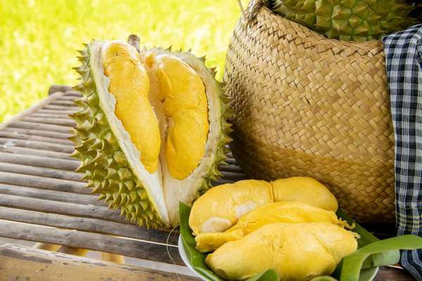 246 indicatifs régionaux de culture du durian approuvés pour l'exportation vers la Chine ảnh 1 246 indicatifs régionaux de culture du durian approuvés pour l'exportation vers la Chine ảnh 1