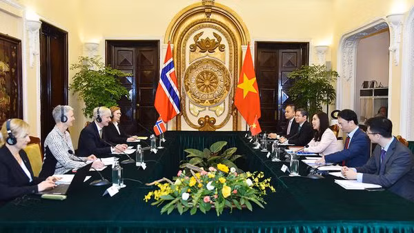 La 9e Consultation politique Vietnam - Norvège ảnh 1