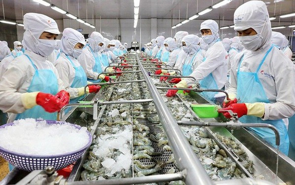 Produits aquatiques: la production nationale atteint plus de 1,18 million de tonnes en deux mois ảnh 1 Produits aquatiques: la production nationale atteint plus de 1,18 million de tonnes en deux mois ảnh 1