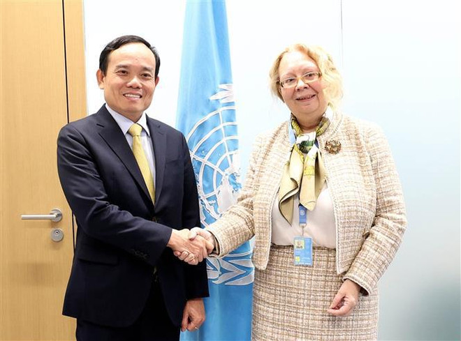 Le vice-PM Tran Luu Quang rencontre des représentants de pays et organisations internationales ảnh 5