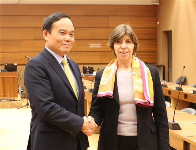 Le vice-PM Tran Luu Quang rencontre des représentants de pays et organisations internationales ảnh 2