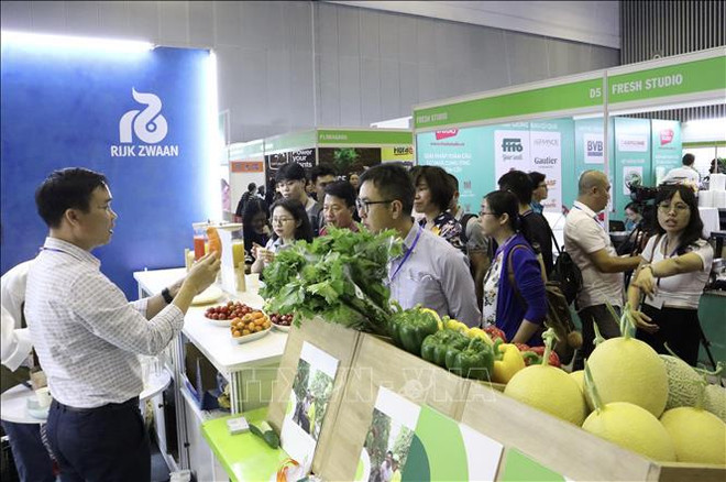 Fruits et légumes : ouverture de l’exposition internationale HortEx Vietnam 2023 ảnh 1 Fruits et légumes : ouverture de l’exposition internationale HortEx Vietnam 2023 ảnh 1