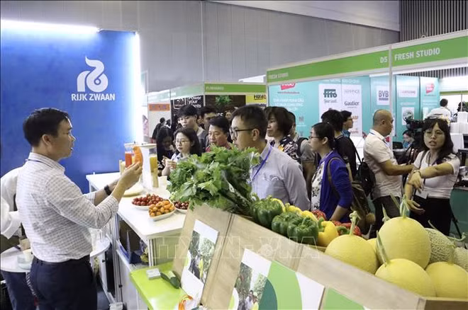 Fruits et légumes : ouverture de l’exposition internationale HortEx Vietnam 2023 ảnh 1