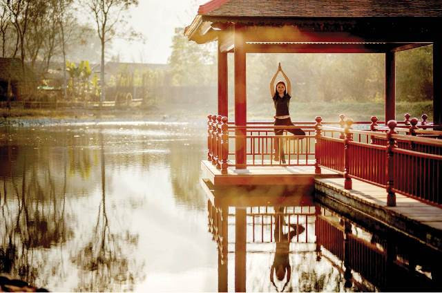 Thua Thien-Hue développe le tourisme médical ảnh 1