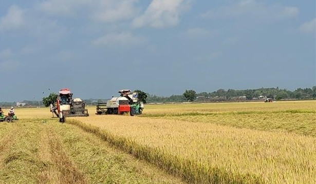 Application des hautes technologies dans le développement de l'économie agricole ảnh 1 Application des hautes technologies dans le développement de l'économie agricole ảnh 1