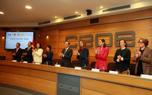 Entretien entre le vice-PM Tran Luu Quang et son homologue espagnol à Madrid ảnh 1
