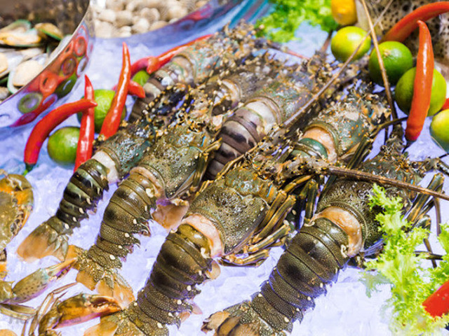 Les exportations nationales de homards vers la Chine ont retrouvé des couleurs ảnh 1 Les exportations nationales de homards vers la Chine ont retrouvé des couleurs ảnh 1