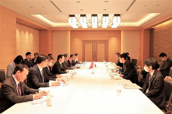 Vietnam et Japon promeuvent la coopération dans l'énergie et la réduction des émissions de gaz ảnh 1 Vietnam et Japon promeuvent la coopération dans l'énergie et la réduction des émissions de gaz ảnh 1